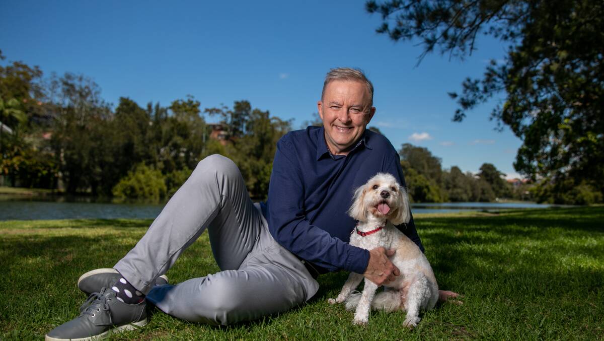 Anthony Albanese and Toto.