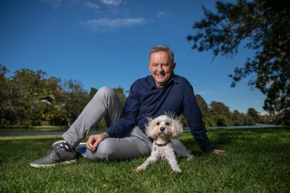 ON A MISSION: Anthony Albanese with Toto on the banks of the Cooks River. Picture: Geoff Jones