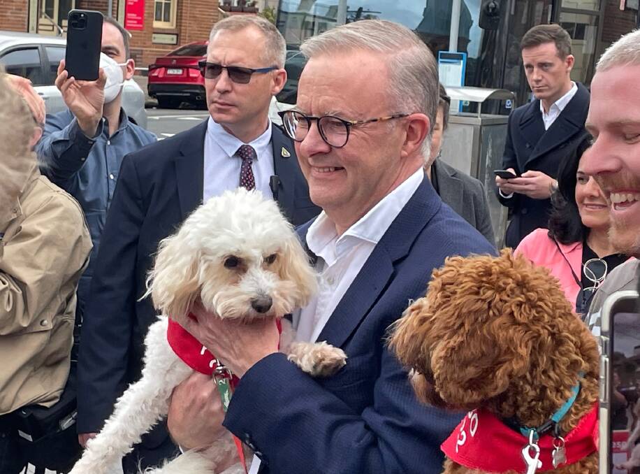 Mr Albanese with Toto after casting his vote at Marrickville Town Hall on Saturday.