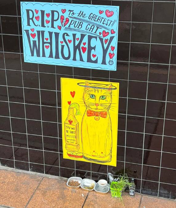'THE GREATEST PUB CAT': A tribute was set up for Whiskey, the pet cat who died in the Royal Exchange Hotel fire. Picture: Facebook