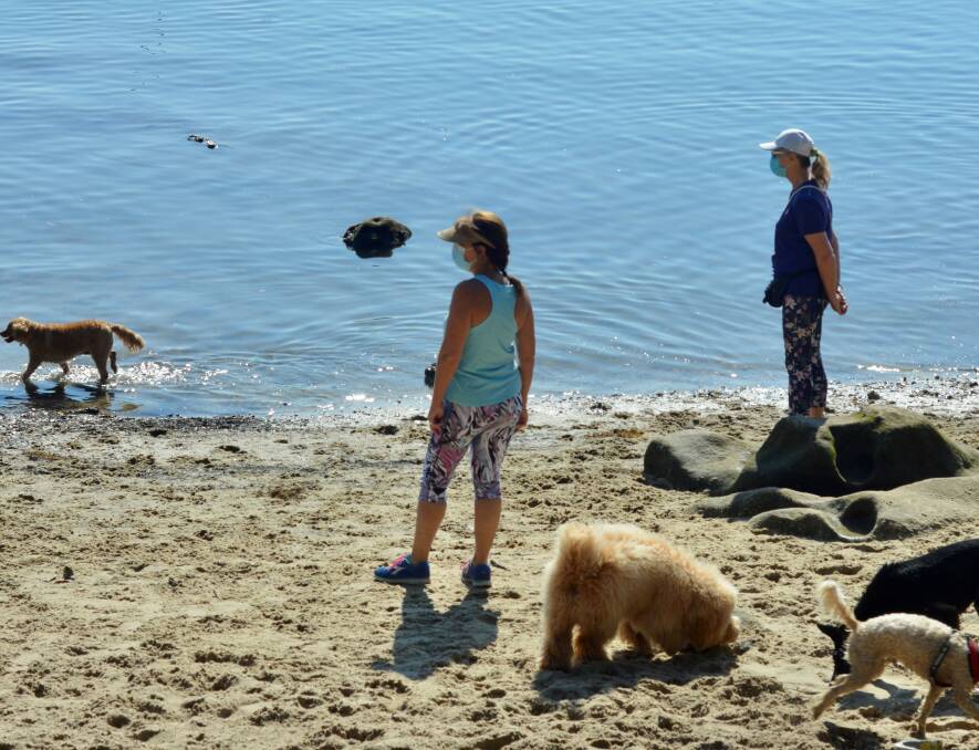 A DOG'S DAY OUT: Callan Point Beach will be among the parts of Callan Park where off-leash dogs will be allowed. Picture: Supplied
